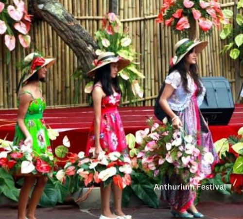 Anthurium Festival Festival of Mizoram