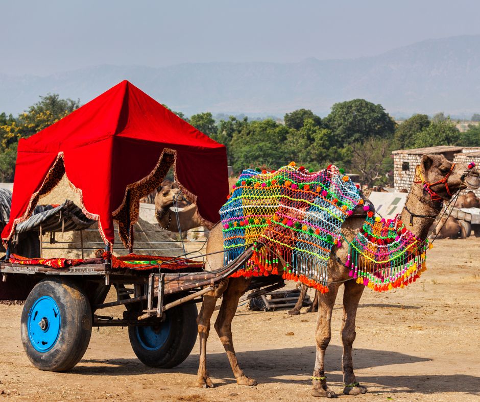 is december a good time to visit rajasthan
