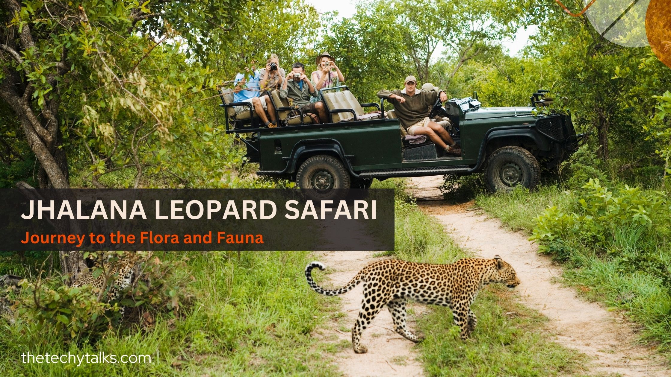 Jhalana Leopard Safari Jaipur Rajasthan: A Journey to the Flora and Fauna