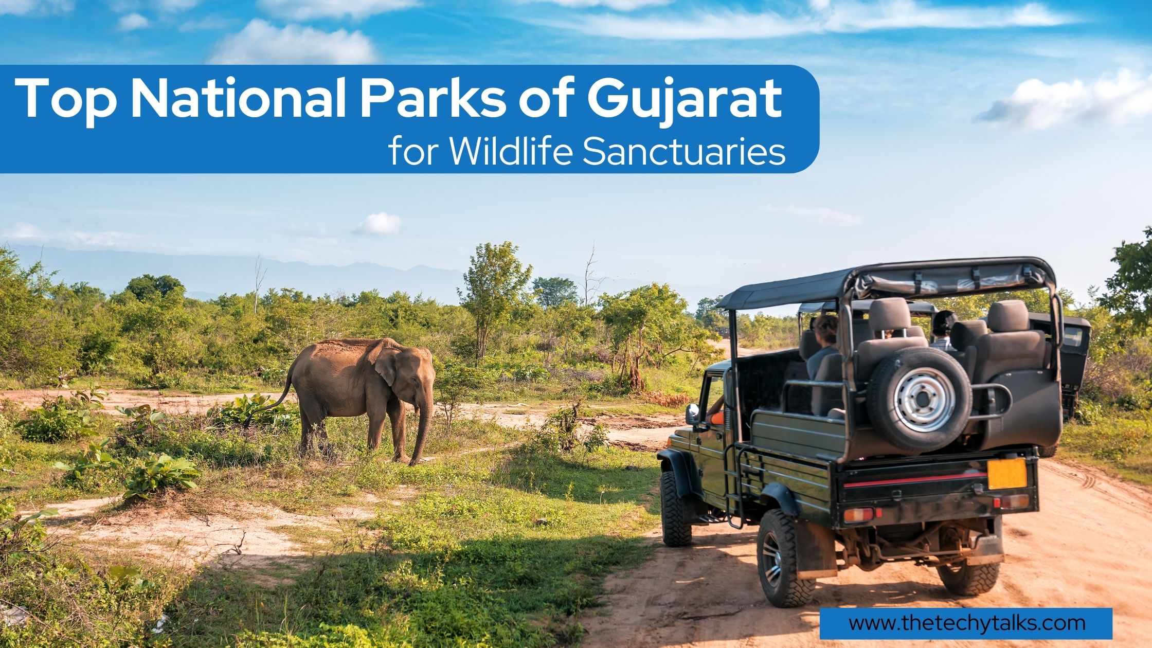 Top National Parks of Gujarat for Wildlife Sanctuaries